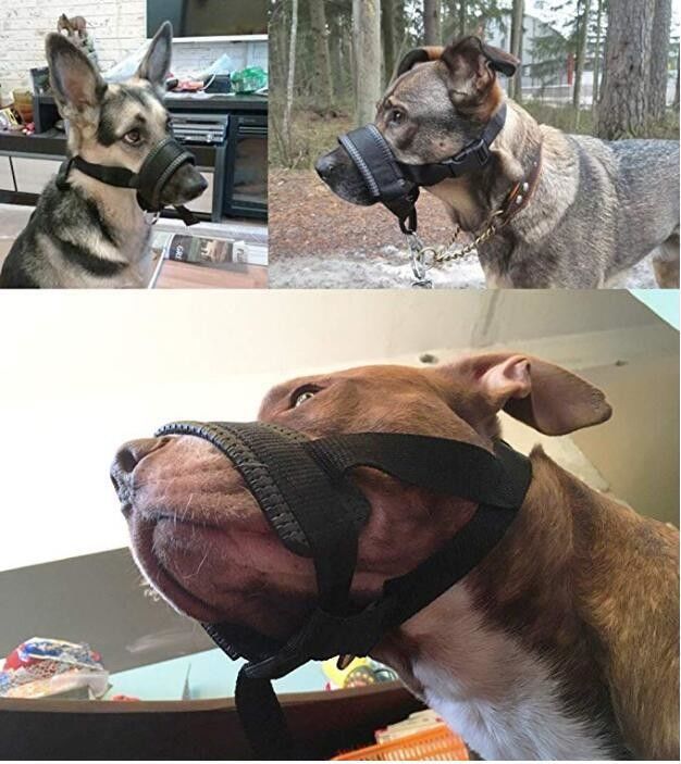 Il cablaggio di nylon del guinzaglio del collare della museruola del cane ha messo morso riempito molle della copertura della bocca del cane l'anti
