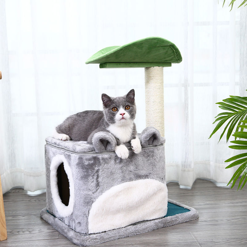 Livello di lusso di Cat Climbing Frame Tree Multi di sicurezza con la caverna che graffia dimensione 61*41*132cm delle poste m.