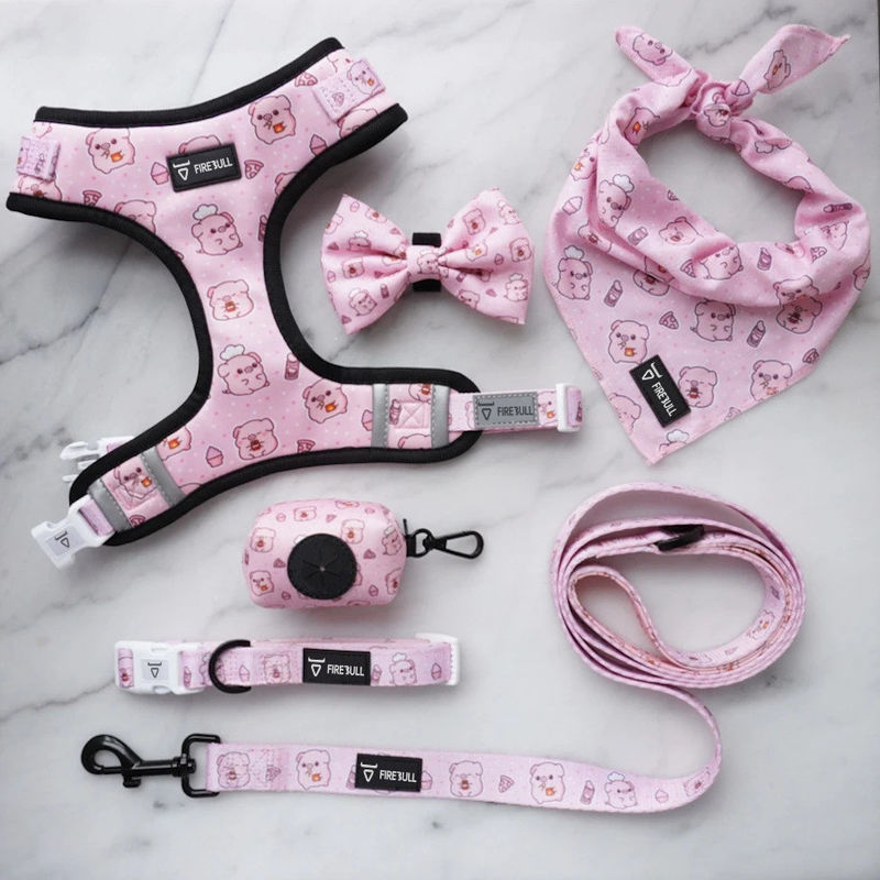 Insieme molle del guinzaglio e di Mesh Nylon Pattern Dog Collar
