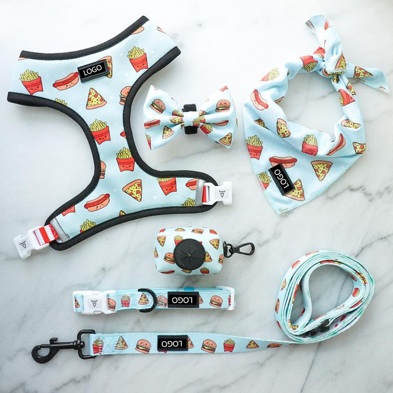 Insieme molle del guinzaglio e di Mesh Nylon Pattern Dog Collar