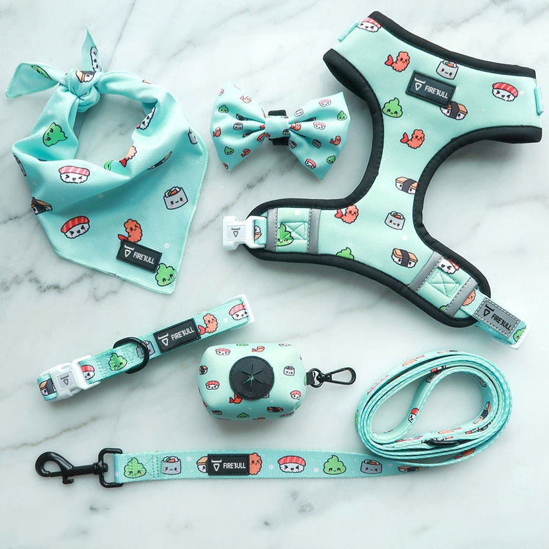 Insieme molle del guinzaglio e di Mesh Nylon Pattern Dog Collar