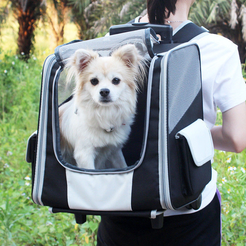 Carrello telescopico dello zaino del trasportatore di viaggio dell'animale domestico della maniglia per i piccoli cani e gatti