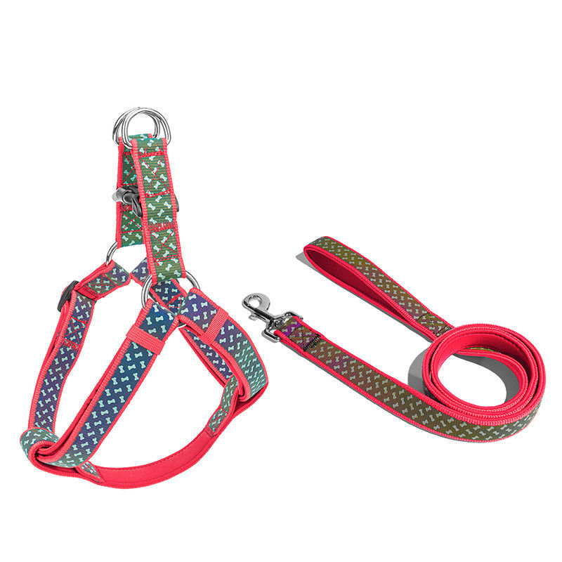 Insieme esclusivo riflettente del guinzaglio del cablaggio della corda dell'animale domestico del neoprene dei collari di cane dell'animale domestico del guinzaglio del cane degli accessori molli degli animali domestici