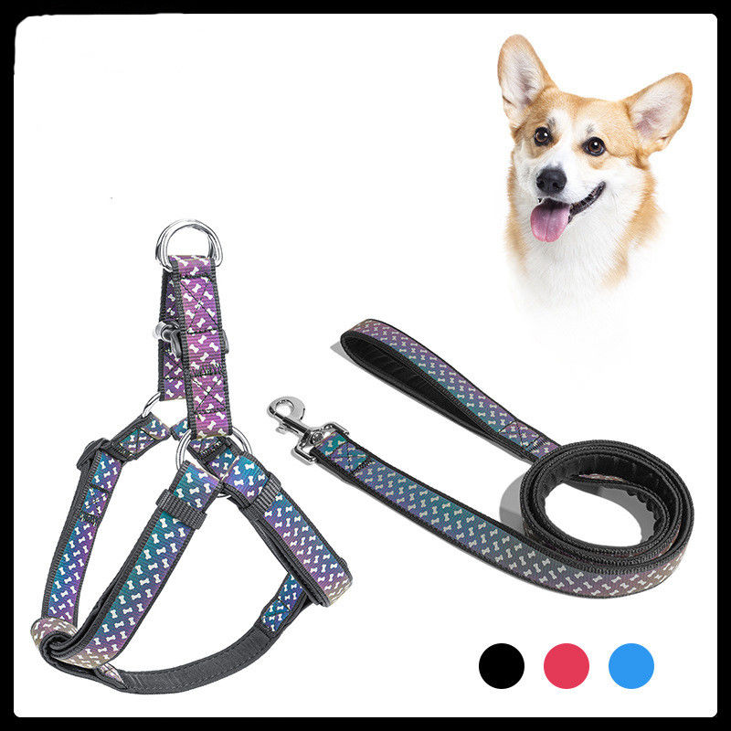 Insieme esclusivo riflettente del guinzaglio del cablaggio della corda dell'animale domestico del neoprene dei collari di cane dell'animale domestico del guinzaglio del cane degli accessori molli degli animali domestici