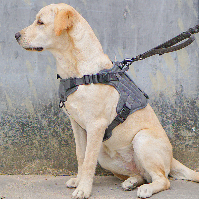 Imbracatura per cani militare tattica della maglia con sicurezza tattica del ODM Molle del fermaglio per servizio &amp; la maglia militare di formazione del cane