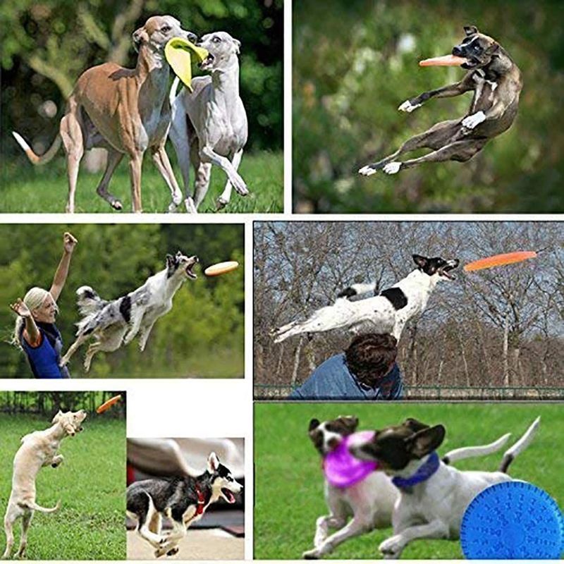Giocattolo all'aperto di addestramento di ampiezza del cane del disco di volo del cane del gel di silice