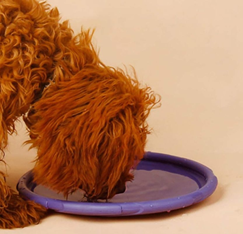 Giocattolo all'aperto di addestramento di ampiezza del cane del disco di volo del cane del gel di silice