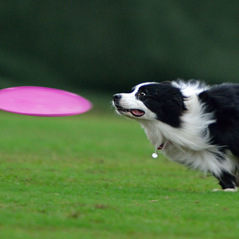 Giocattolo all'aperto di addestramento di ampiezza del cane del disco di volo del cane del gel di silice