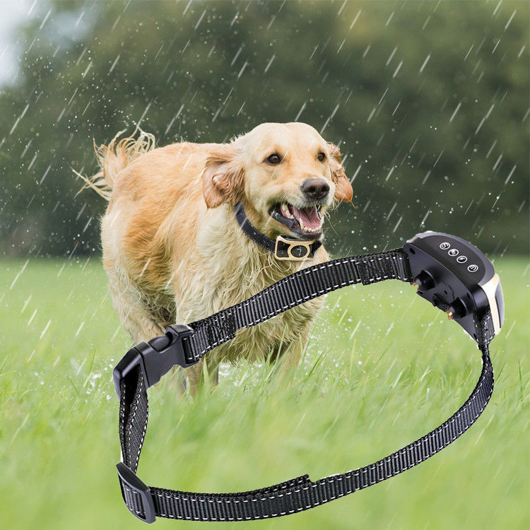 Prodotti innovatori di addestramento dell'animale domestico di controllo nessun collari di scossa di addestramento di cani della corteccia
