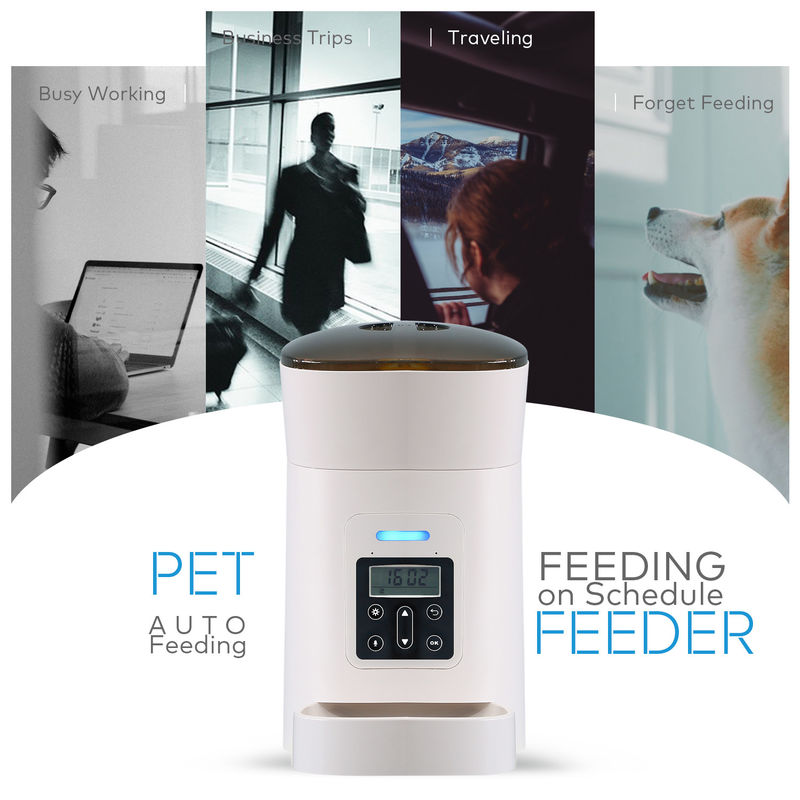 L'alimentatore del cane degli animali domestici e l'erogatore automatici dell'acqua con la ciotola dell'alimento hanno progettato