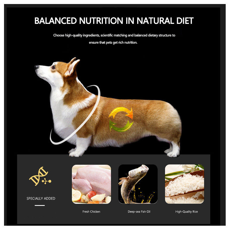Alimento per animali domestici asciutto Cat Treats Pvc Bag Bulk Cat Food asciutta di colore naturale