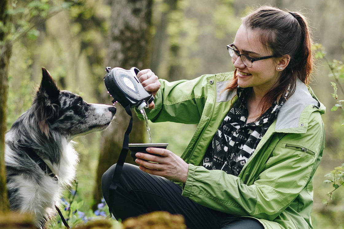 SEDEX insegue i progettisti tutti della ciotola della bottiglia di acqua di viaggio in un guinzaglio del cane