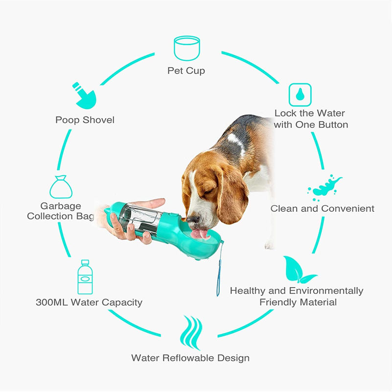 La perdita di BSCI rinforza 2 in 1 erogatore dell'acqua del cucciolo della bottiglia di acqua del cane con la pala della poppa