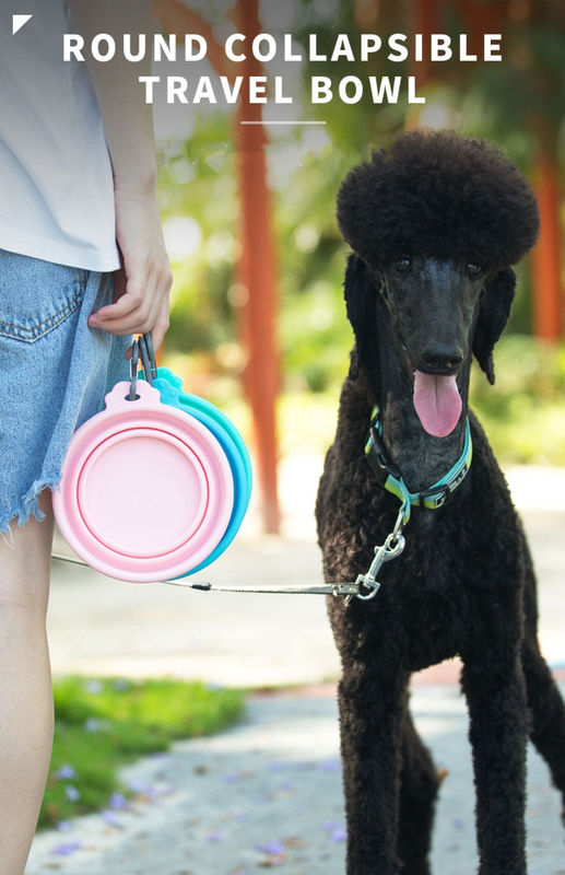 Ciotola all'aperto dell'acqua di viaggio del silicone per la ciotola di Cat Dog Food And Water dei cani