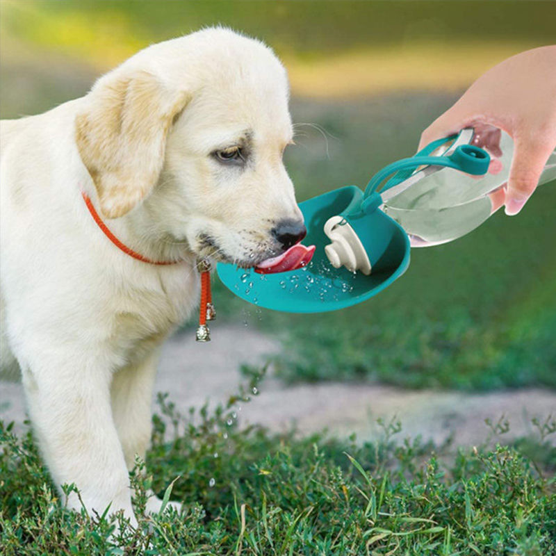 Progettazione portatile all'aperto 580ML della prova della perdita della bottiglia di acqua dell'animale domestico del silicone