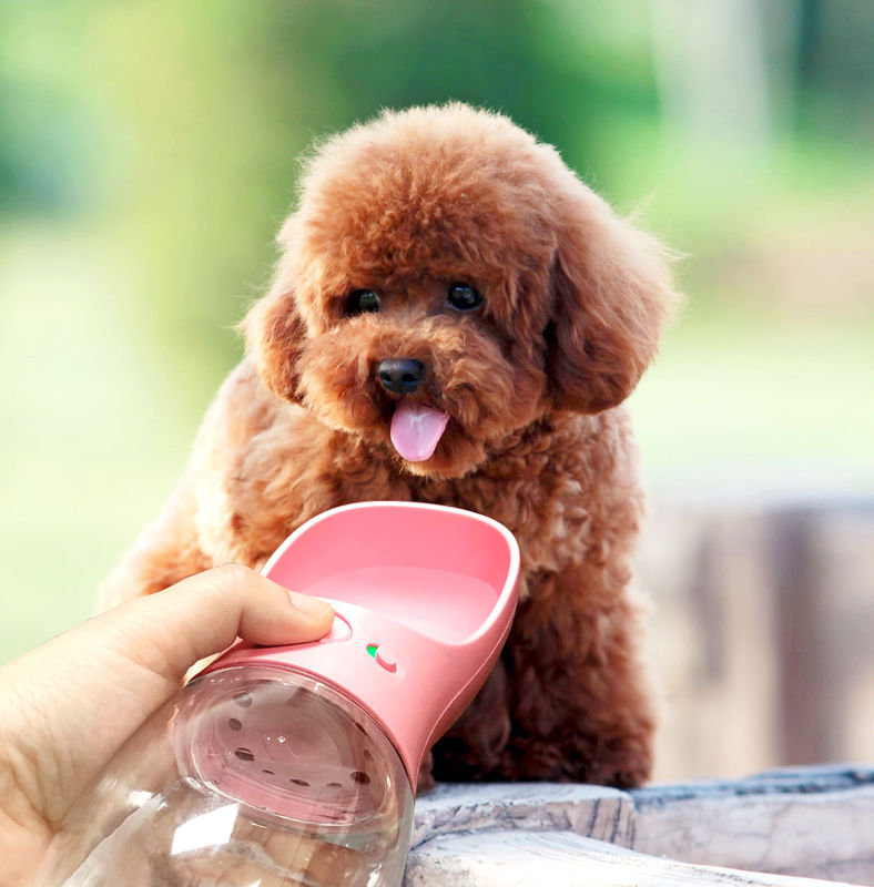 Bottiglia di acqua pieghevole portatile del cane della tazza della bevanda 12-20OZ per camminare