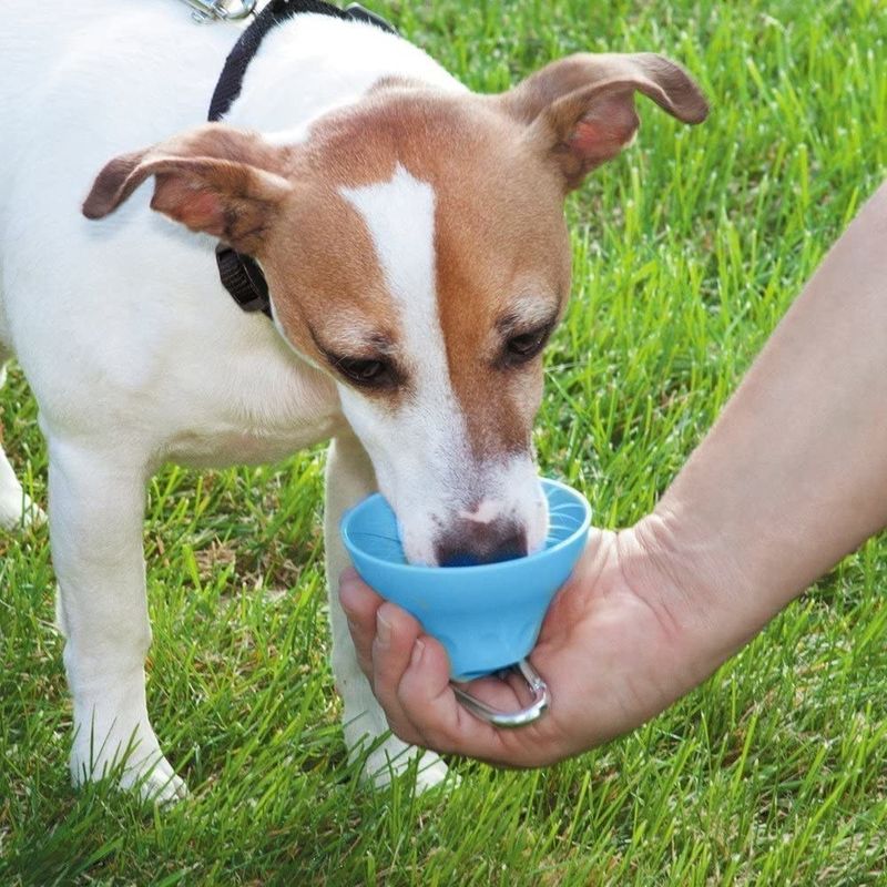 Bottiglia di acqua e ciotola all'aperto staccabili del cane del silicone bottiglia bevente dell'animale domestico da 400 ml