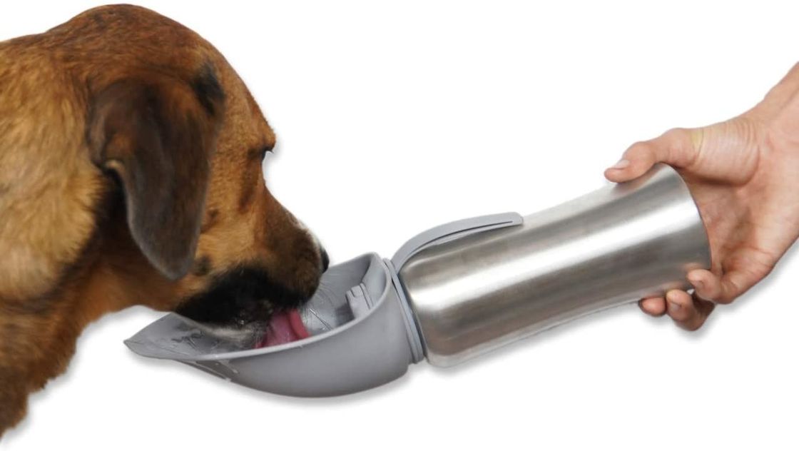 Gli animali domestici inossidabili di viaggio inseguono la bottiglia di acqua calda con il silicone Flip Up Bowl 42oz/1200mL