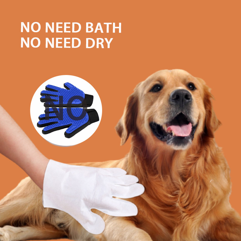 Cane eliminabile toccante asciutto di pulizia all'aperto Cat No Washing dei guanti dell'animale domestico della sporcizia dei batteri