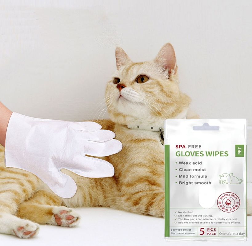 5 PCS no Rinse Pet Cleaning Gloves eliminabile per le zampe e l'estremità dell'orecchio del corpo del fronte
